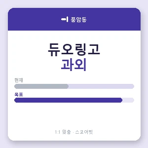 풍암동 듀오링고과외 안내 이미지 — 스코어핏 1:1 맞춤 수업, 첫 수업 무료 체험