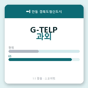 안동 경북도청신도시 지텔프과외 안내 이미지 — 스코어핏 1:1 맞춤 수업, 첫 수업 무료 체험