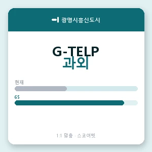 광명시흥신도시 지텔프과외 안내 이미지 — 스코어핏 1:1 맞춤 수업, 첫 수업 무료 체험