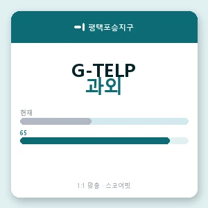 평택포승지구 지텔프과외 안내 이미지 — 스코어핏 1:1 맞춤 수업, 첫 수업 무료 체험