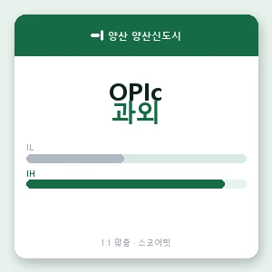 양산 양산신도시 오픽과외 안내 이미지 — 스코어핏 1:1 맞춤 수업, 첫 수업 무료 체험