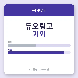 부평구 듀오링고과외 안내 이미지 — 스코어핏 1:1 맞춤 수업, 첫 수업 무료 체험